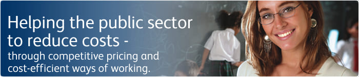 Public Sector