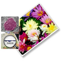 High-quality Prints with Solid Ink