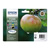 Epson Stylus SX425W T1295 CMYK Multipack Ink Cartridges (7ml & 11.2ml)