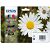 Epson Expression Home XP-202 T1806 Standard Yield CMYK Ink Cartridge Pack