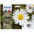Epson Expression Home XP-202 T1816 High Yield CMYK Ink Cartridge Pack