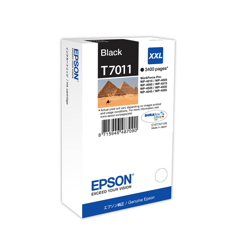 Epson Pyramids Inks