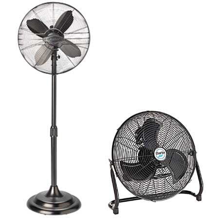 Fans