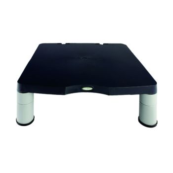 Fellowes Standard Monitor Riser Graphite 9169301