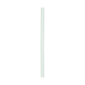 Durable A4 White 6mm Spine Bars (Pack of 100) 2901/02