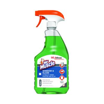 Mr Muscle Window and Glass Cleaner 750ml 316533