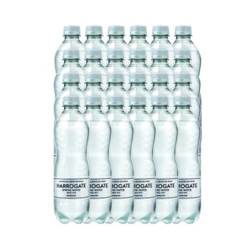 Harrogate Sparkling Spring Water 500ml Plastic Bottle (Pack of 24) G750121S