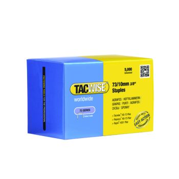 Tacwise 73/10mm Staples Galvanised Chisel Point (Pack of 5000)