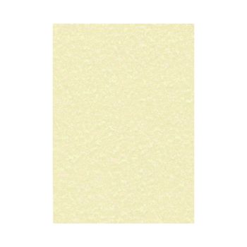 Decadry Parchment A4 Letterhead Paper 95gsm Champagne (Pack of 100) PCL1601