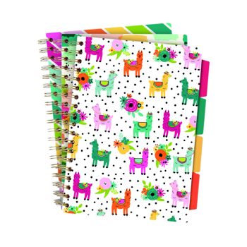 Pukka Colour Wash Project Books B5 Assorted (Pack of 3) 9032-CD