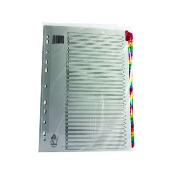 Multicoloured A4 1-31 Mylar Index WX01522