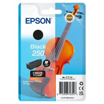 Epson 250 Black Ink Cartridge (240 Pages*) C13T16N14010