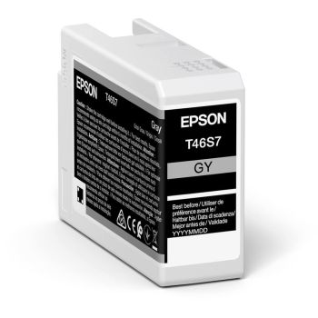 Epson T46S7 Grey Ink Cartridge (25ml) C13T46S700