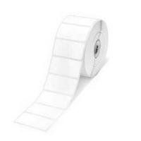 Brother 51mm x 26mm Die-cut Labels (1,900 Labels) 8 Rolls Per Box - BDE1J026051102