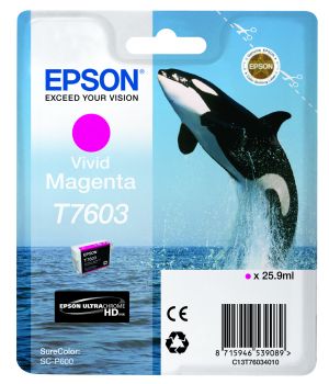 Epson T7603 Vivid Magenta Ink Cartridge (25.9ml) C13T76034010