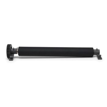 Zebra Platen Roller Kit with Bearings P1080383-700