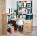 Exacompta Skandi Semi Rigid Recycled Polypropylene Ring Binder Assorted (Pack of 4) 54470E image 2