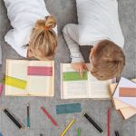 Pukka Pad Pukka Irlen Reading Ruler IRLOVERLAY image 6