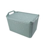 Strata Large Urban Store Basket with Lid 24 Litre Green XW124-LPG-VW image 1