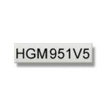 Brother HGEM951V5 24mm Black On Silver Tape (5 pack)