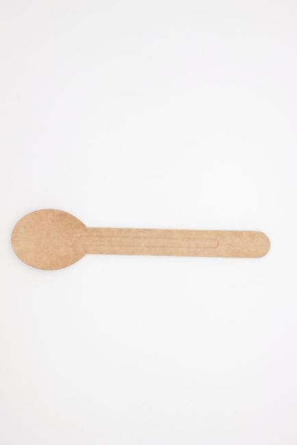 Paper Spoon (Pack of 100) FP-PCS100 image 2