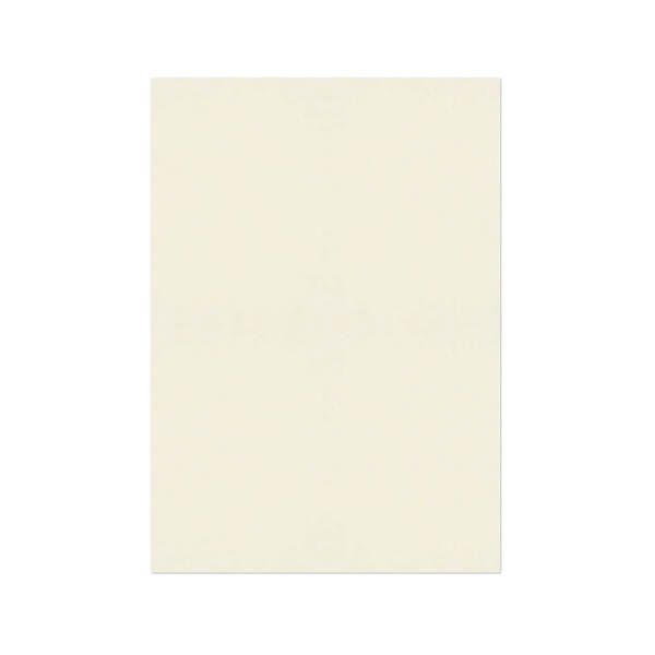 Premium Papers Wove HiWhite A4 Pk500 image