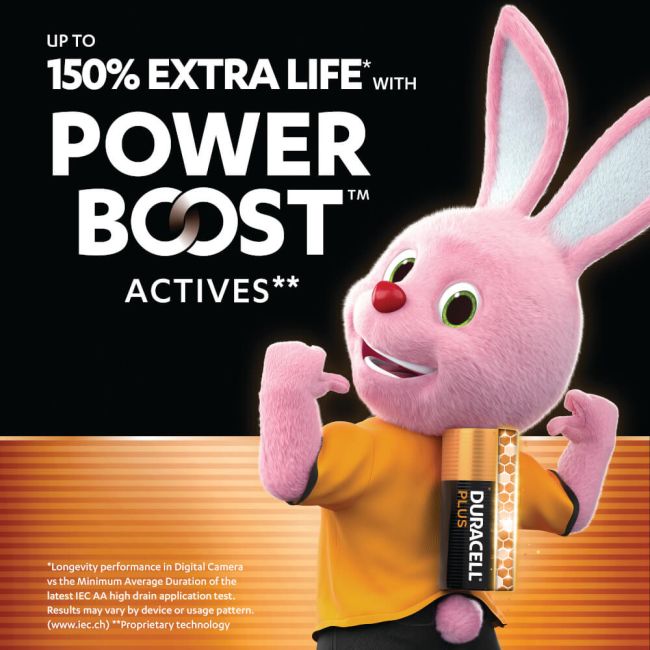 Duracell Plus AA Batteries with Power Boost (Pack of 24) 5019178 image 2