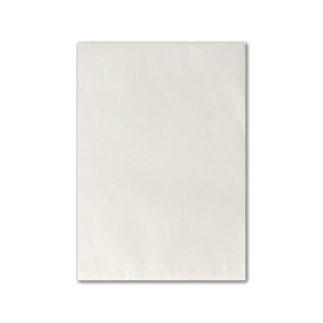 5 Star C4 Envelopes Pocket Peel and Seal 90gsm White (Pack of 10) FS600423 image 2
