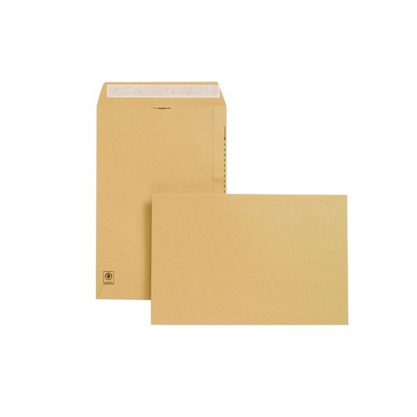 New Guardn Env Peel 381X254 Pk125 image