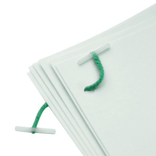 Qcnnect Plas Treasry Tgs 127Mm Pk100 image