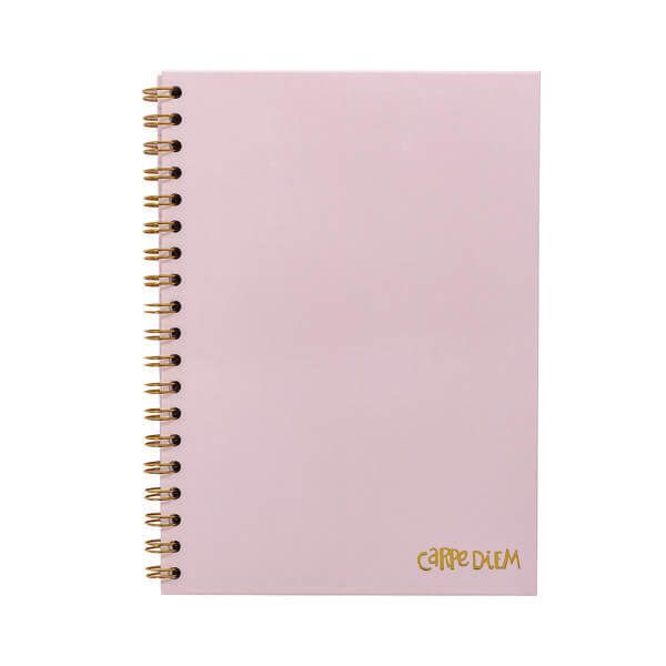 Pukka Pads Carpe Dm WB HB Ntbk Pk B5 image