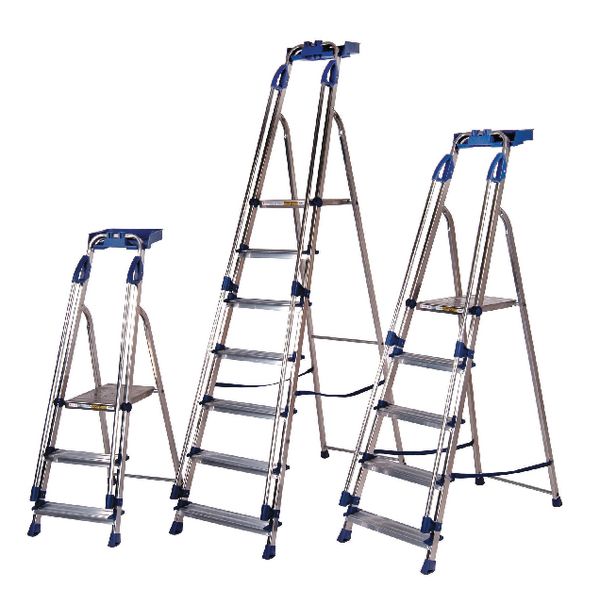 Aluminium Blue Seal 6 Tread Ladder image