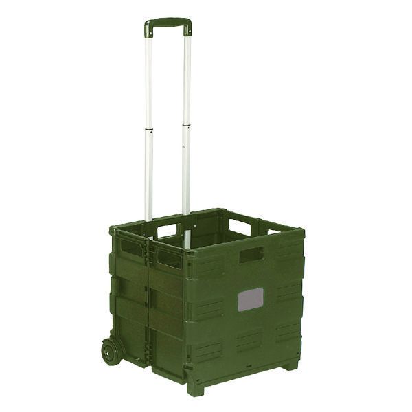 Fold Shopping Cart Blk/Gry image