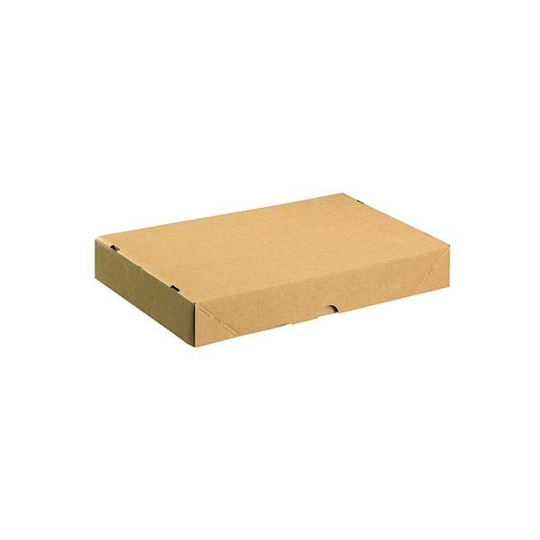 Carton/Lid 305x215x50mm Brn Pk10 image