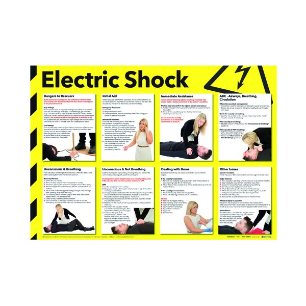 Signslab 420X590 Elec Shock Poster image