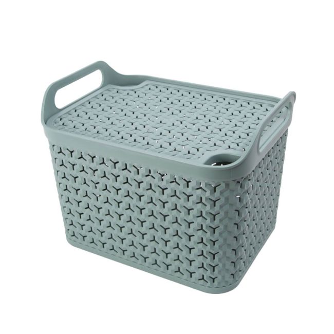 Strata Medium Urban Store Basket with Lid 14L Green XW123-LPG-VW image 1
