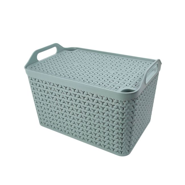 Strata Large Urban Store Basket with Lid 24 Litre Green XW124-LPG-VW image 1