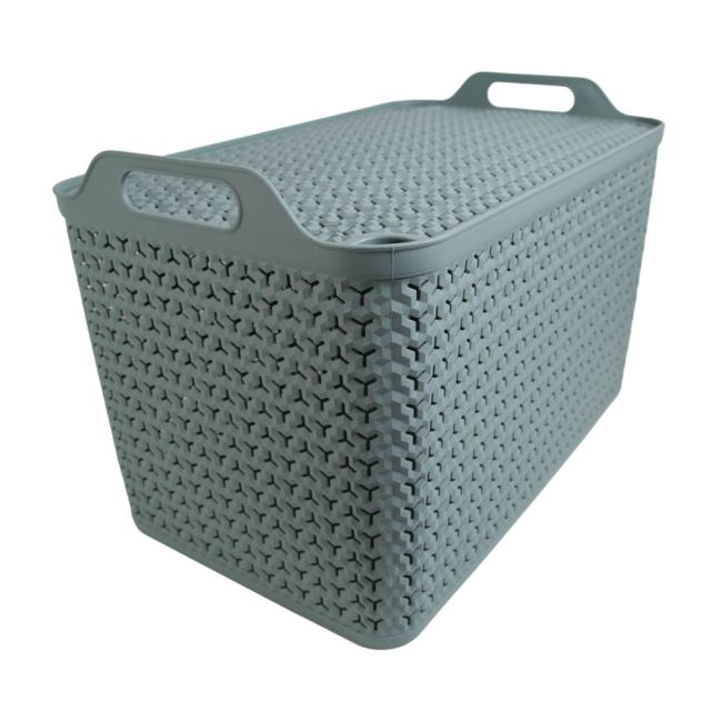 Strata Extra Large Basket with Lid 42L Green XW131-LPG-VW image 1