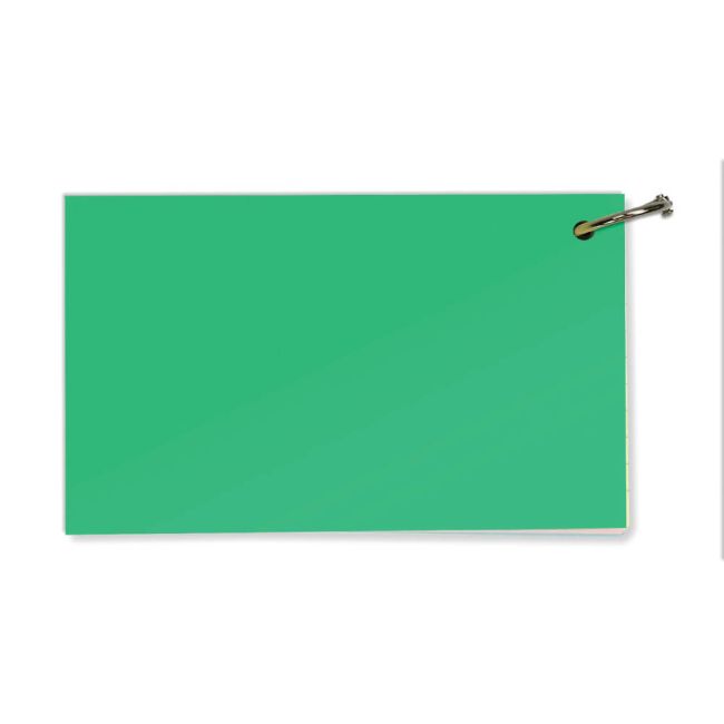 Silvine Luxpad Revision 48 Ringbound Flash Cards Ruled Assorted (Pack of 20) PADSC53 image 7