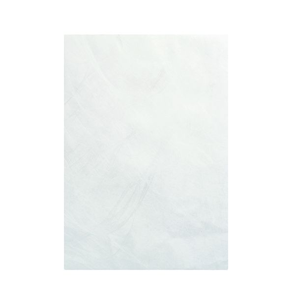 Tyvek Pl/Sl Env C4 Wht Pln Bx 100 image