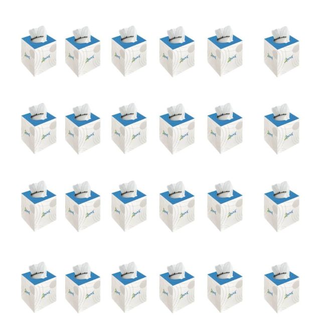 2Work Facial Tissue Cube Box 70 Sheets 2-Ply (Pack of 24) CPD13550