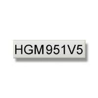 Brother HGEM951V5 24mm Black On Silver Tape (5 pack)