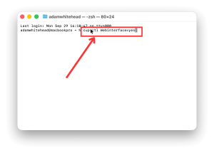 maCOS Terminal, paste the CUPS HTML in here