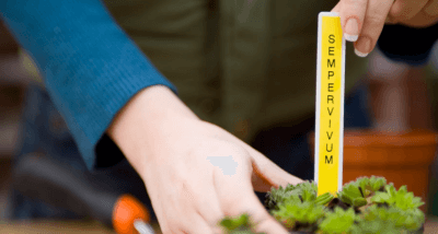 Plant Stick With Black On Yellow Label
