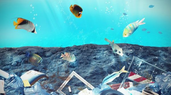 HP environmental schemes reduce plastic in the oceans